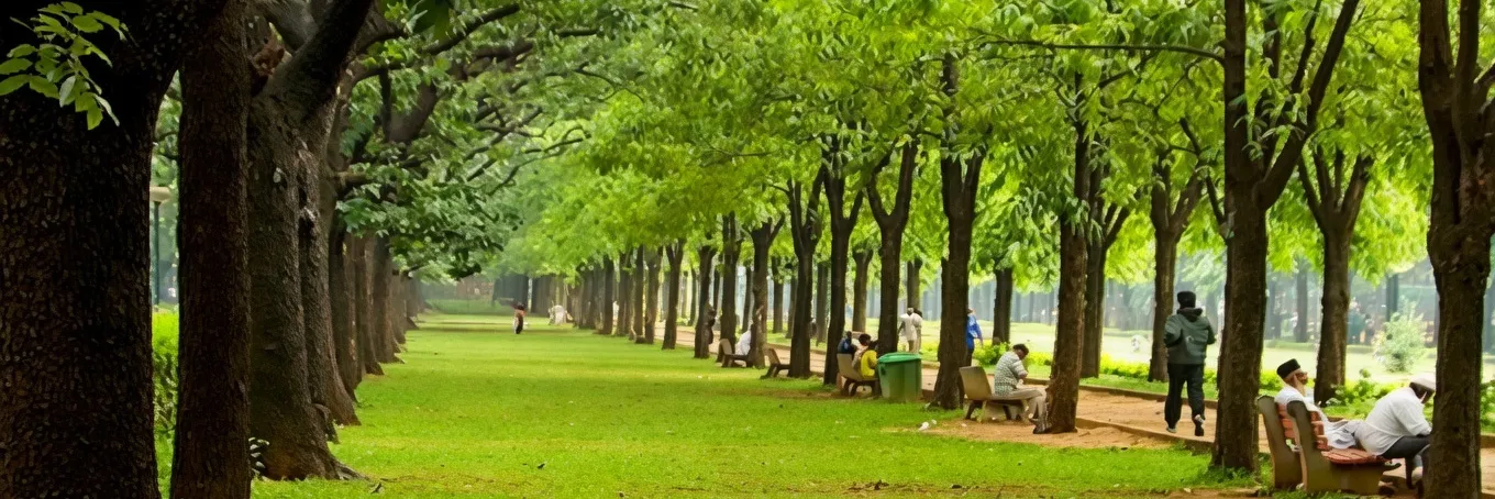 Link Road Jamshedpur